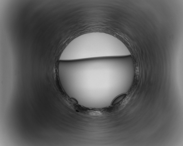 X0000100310572200806051331
