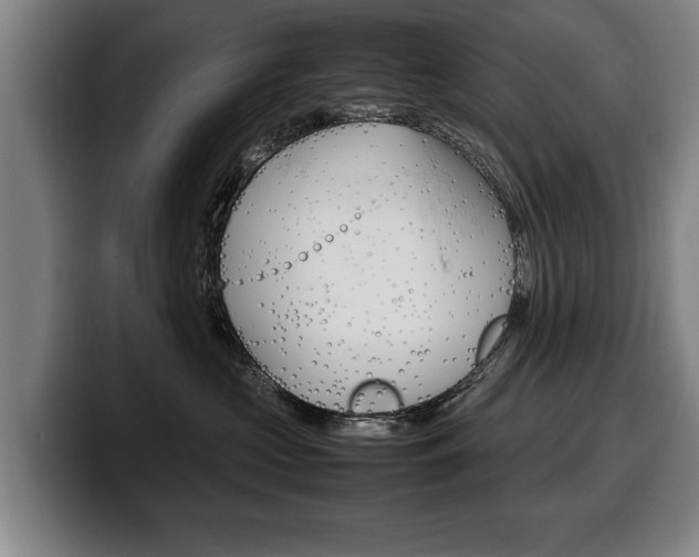 X0000100310573200806051331
