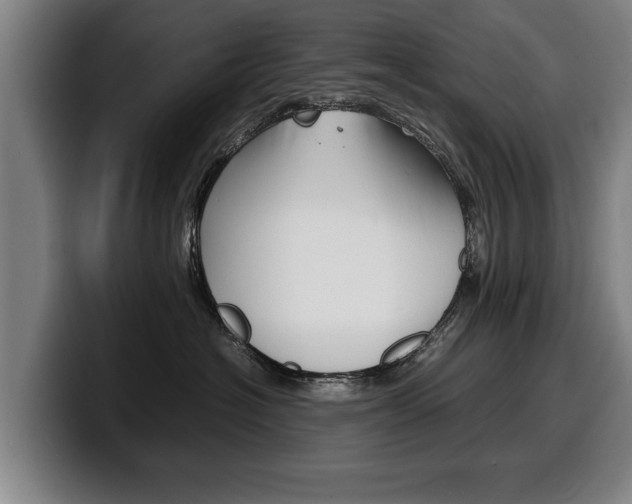 X0000100310574200806051331