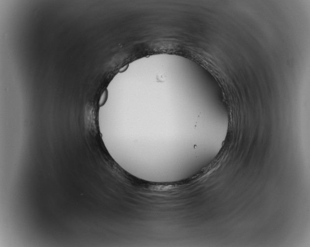 X0000100310575200806051331