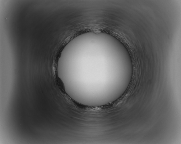 X0000100310576200806051331