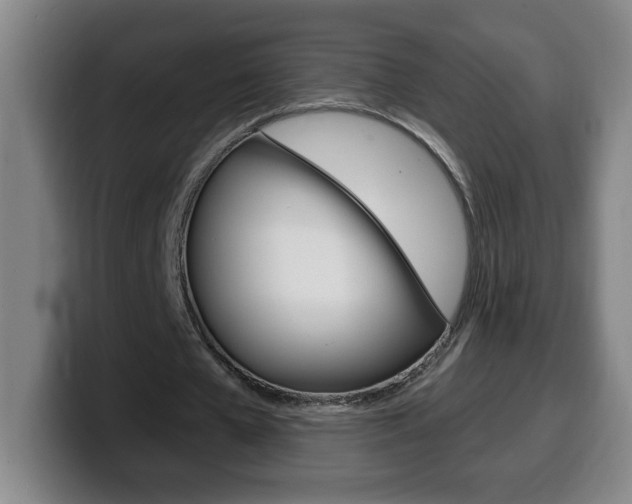 X0000100310577200806051331