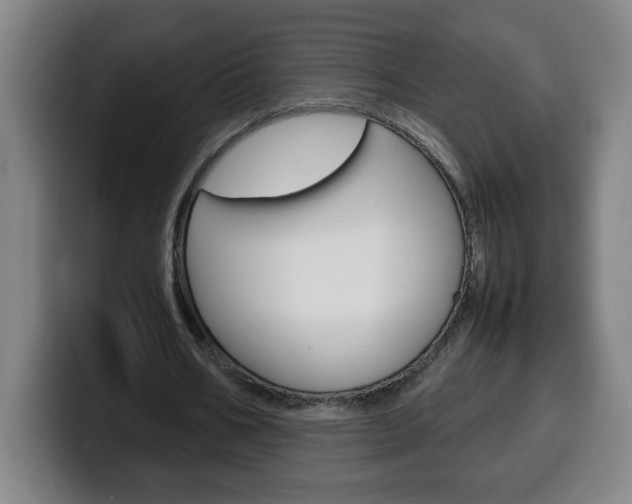 X0000100310578200806051331