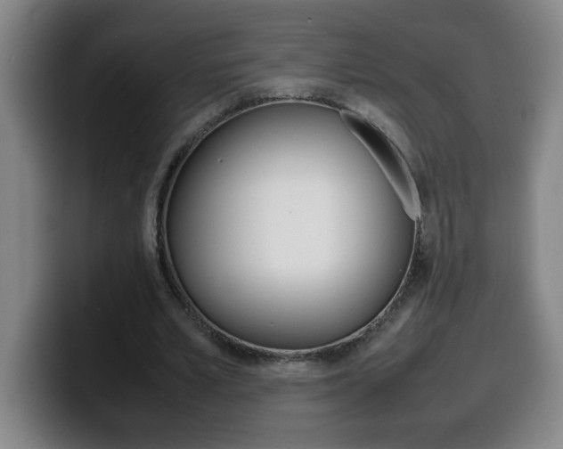 X0000100310581200806051330