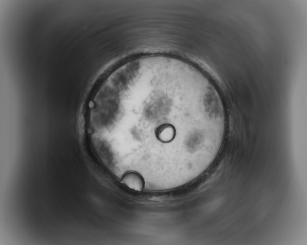 X0000100310584200806051330