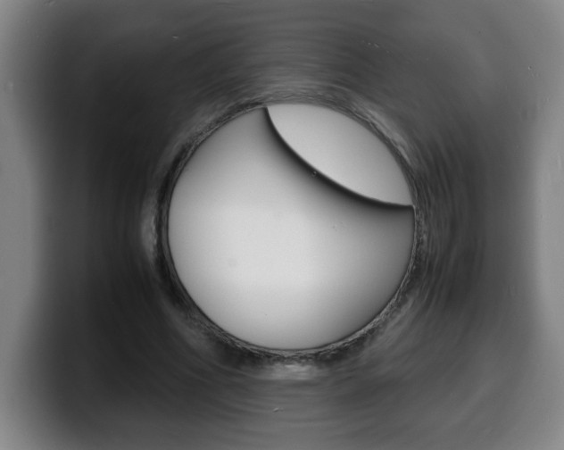 X0000100310586200806051330