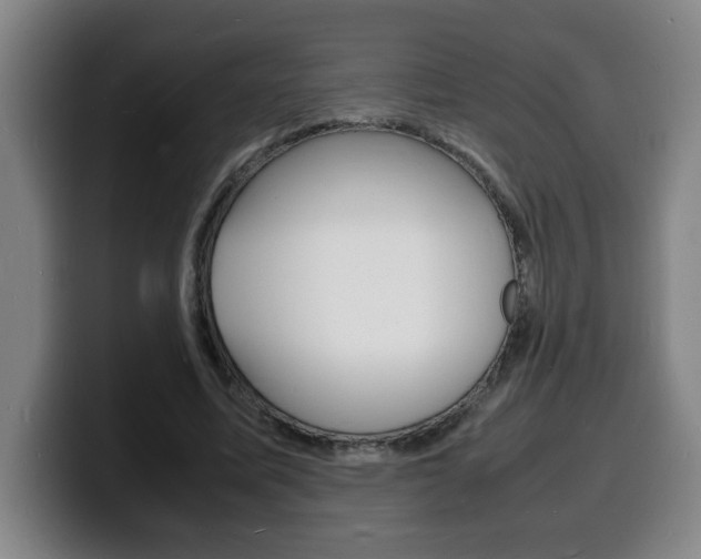 X0000100310587200806051330