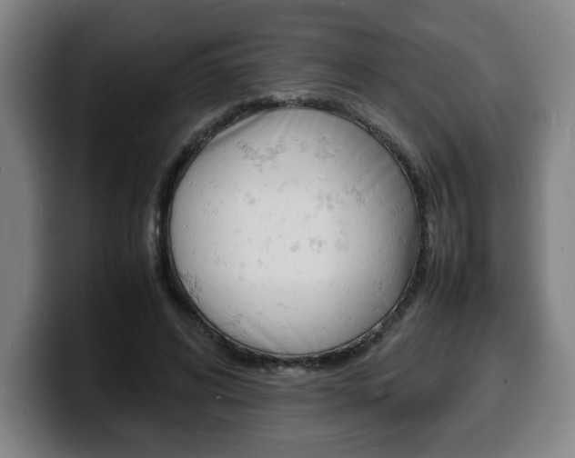 X0000100310592200806051330