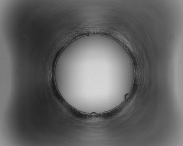 X0000100310593200806051330