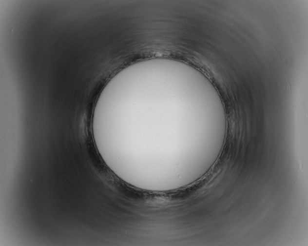 X0000100310594200806051330