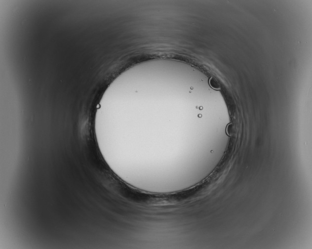 X0000100310597200806051330