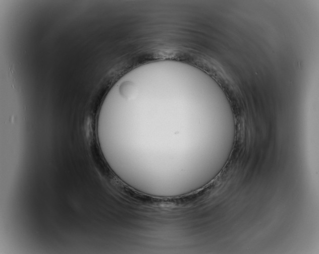 X0000100310598200806051330