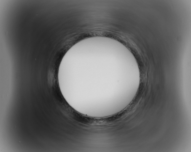 X0000100310599200806051330