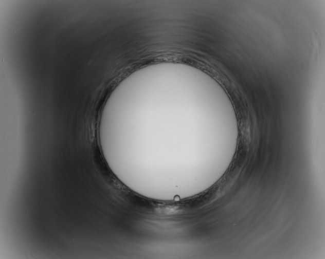 X0000100310602200806051330