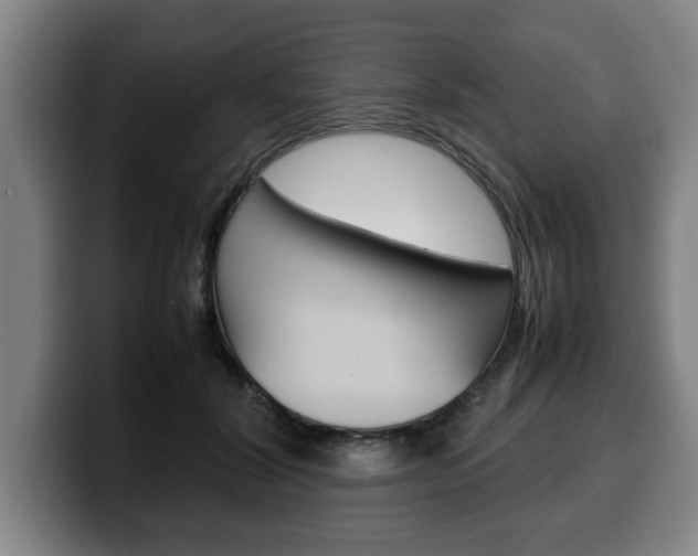 X0000100310604200806051330