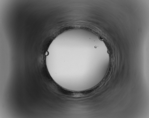 X0000100310605200806051330