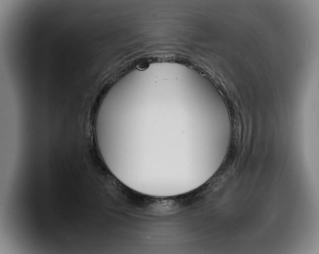 X0000100310609200806051330