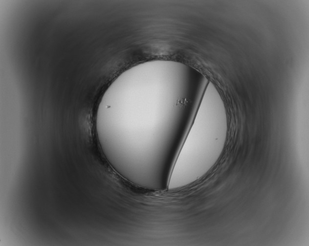 X0000100310612200806051330