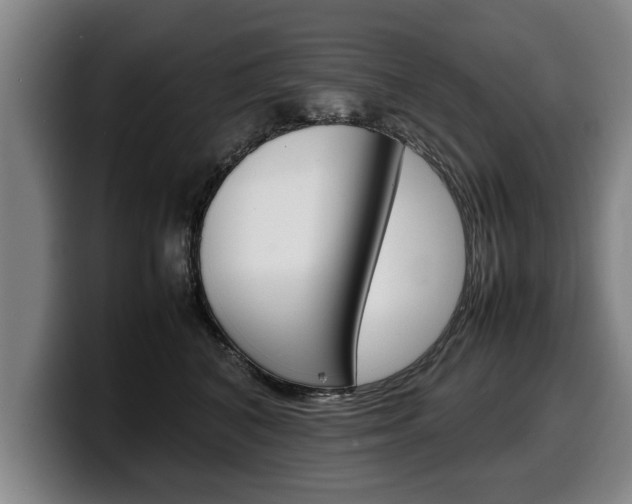 X0000100310616200806051330