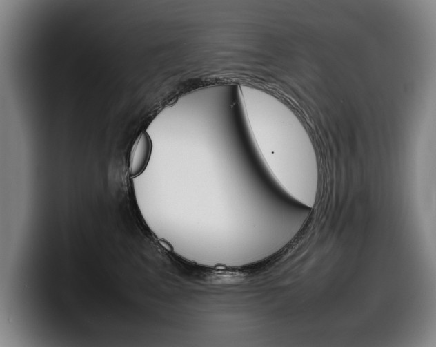 X0000100310617200806051330