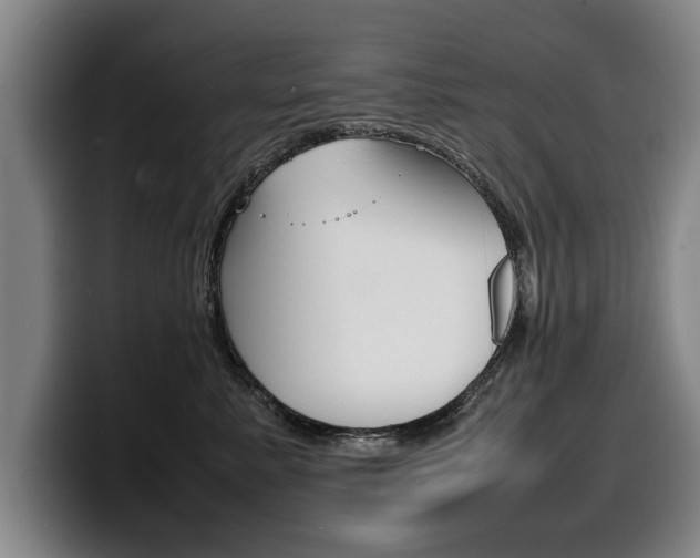 X0000100310619200806051330