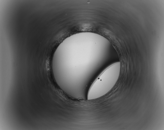X0000100310620200806051330