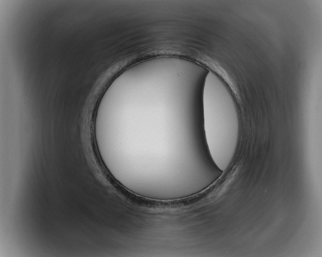 X0000100310625200806051329
