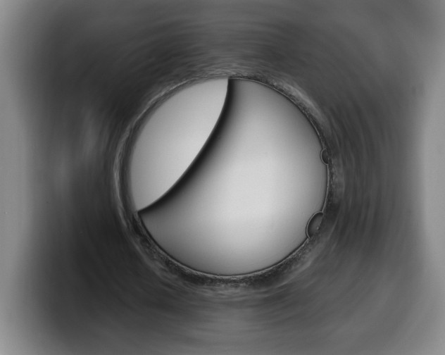 X0000100310626200806051329