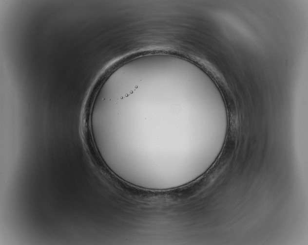 X0000100310628200806051329