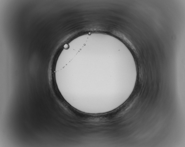X0000100310629200806051329