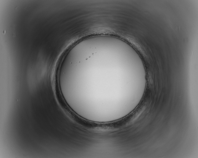 X0000100310630200806051329