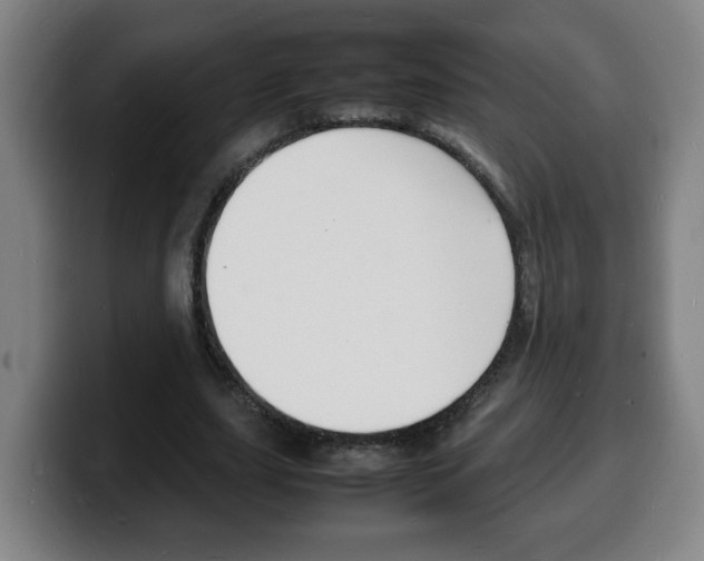 X0000100310631200806051329