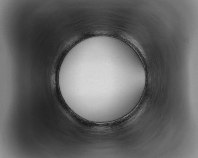 X0000100310633200806051329