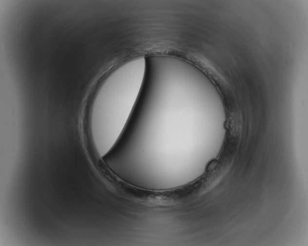 X0000100310634200806051329