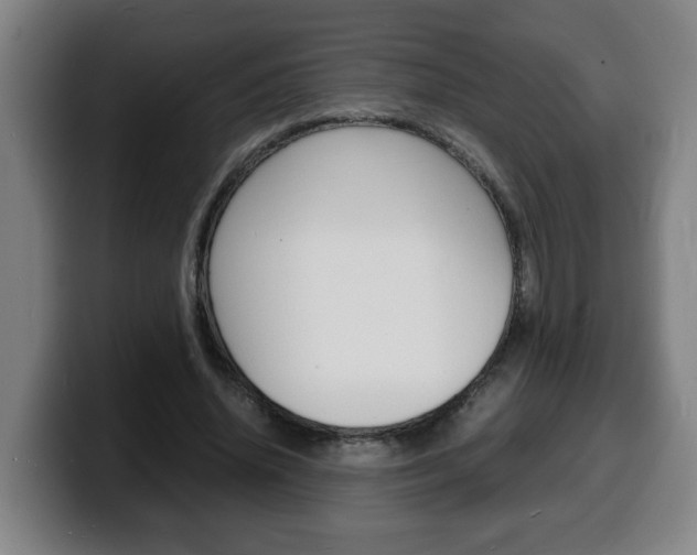 X0000100310636200806051329