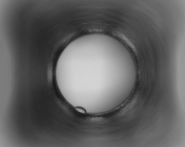 X0000100310637200806051329