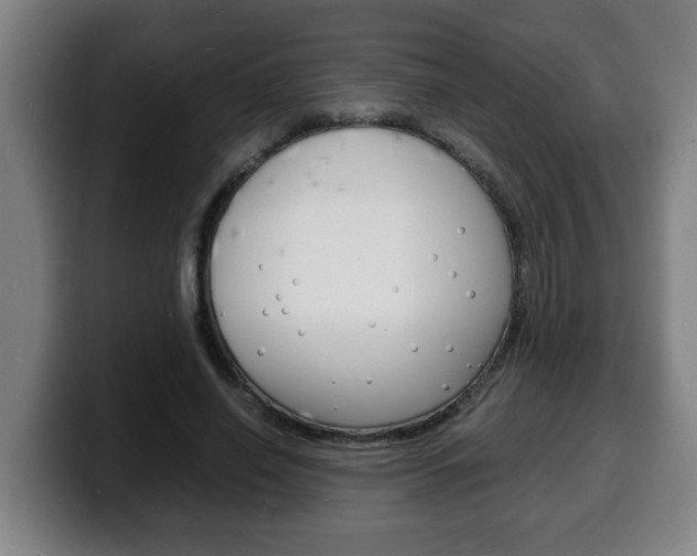 X0000100310638200806051329