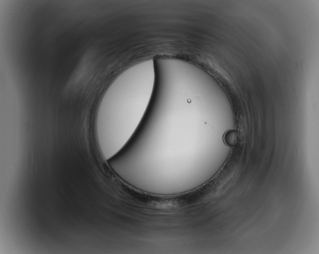 X0000100310639200806051329