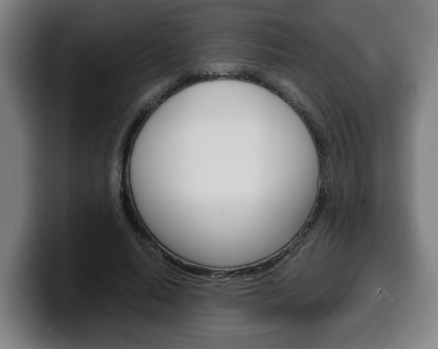 X0000100310640200806051329