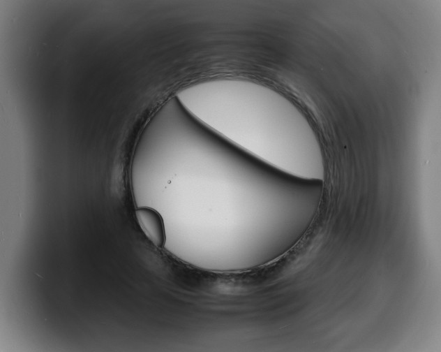 X0000100310641200806051330