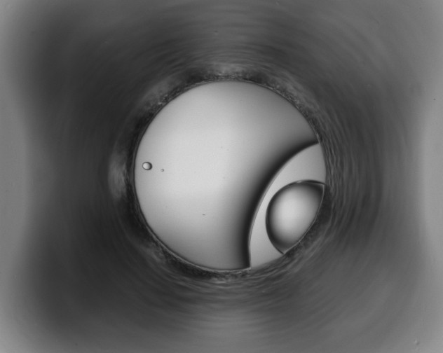 X0000100310644200806051330