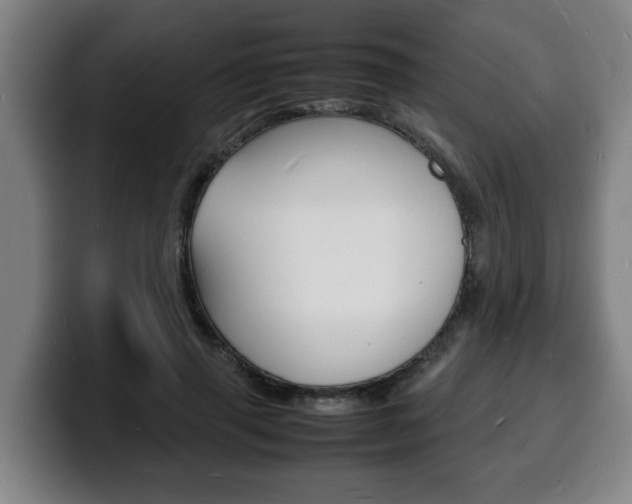 X0000100310645200806051330