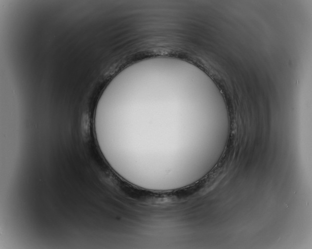 X0000100310646200806051330