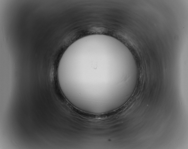 X0000100310647200806051330