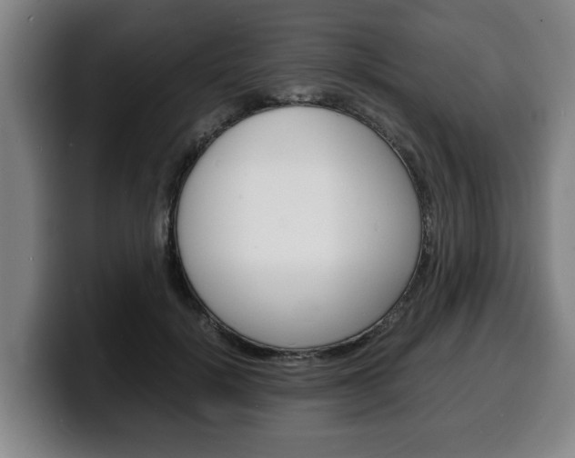 X0000100310652200806051330