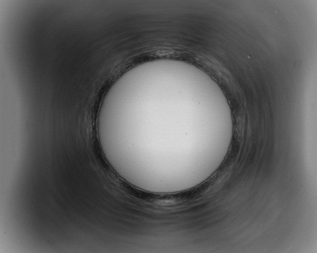 X0000100310653200806051330