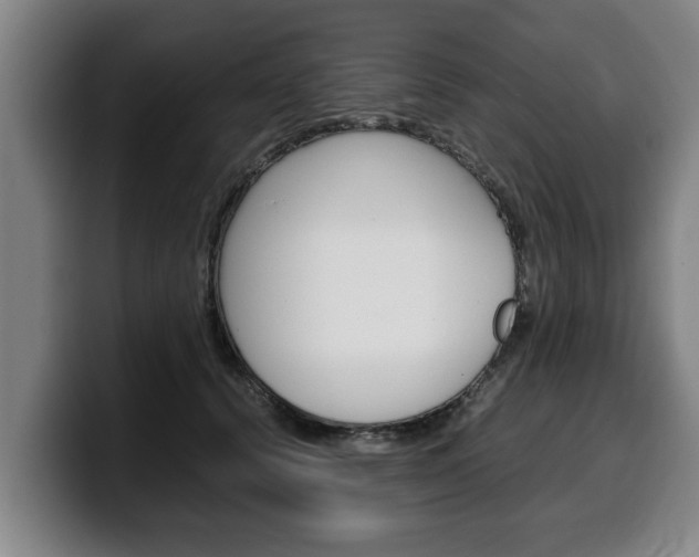 X0000100310656200806051330