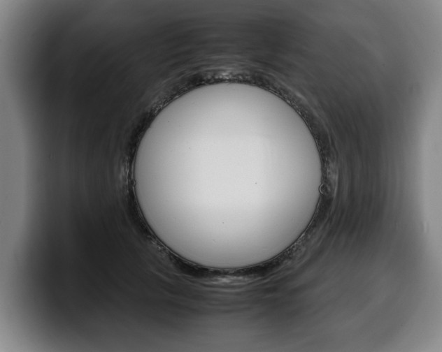 X0000100310657200806051330