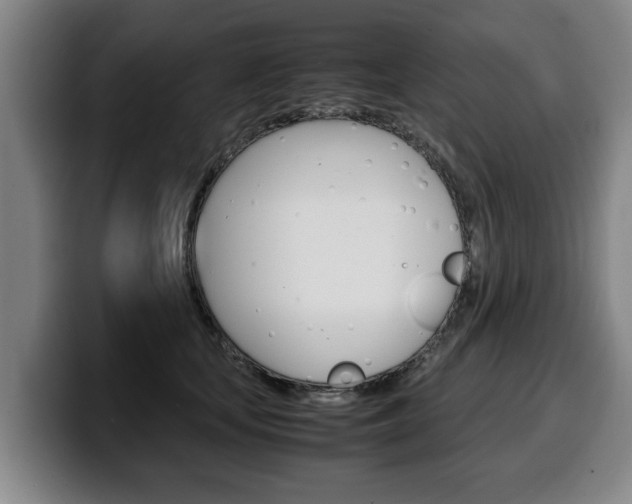 X0000100310659200806051330