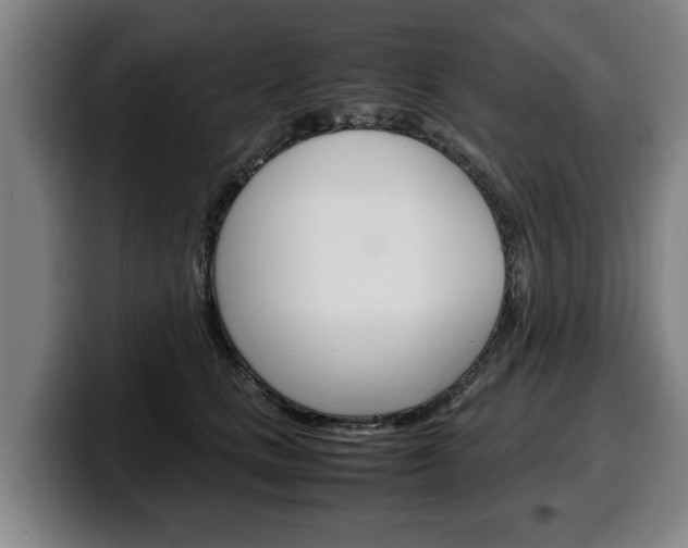 X0000100310661200806051330